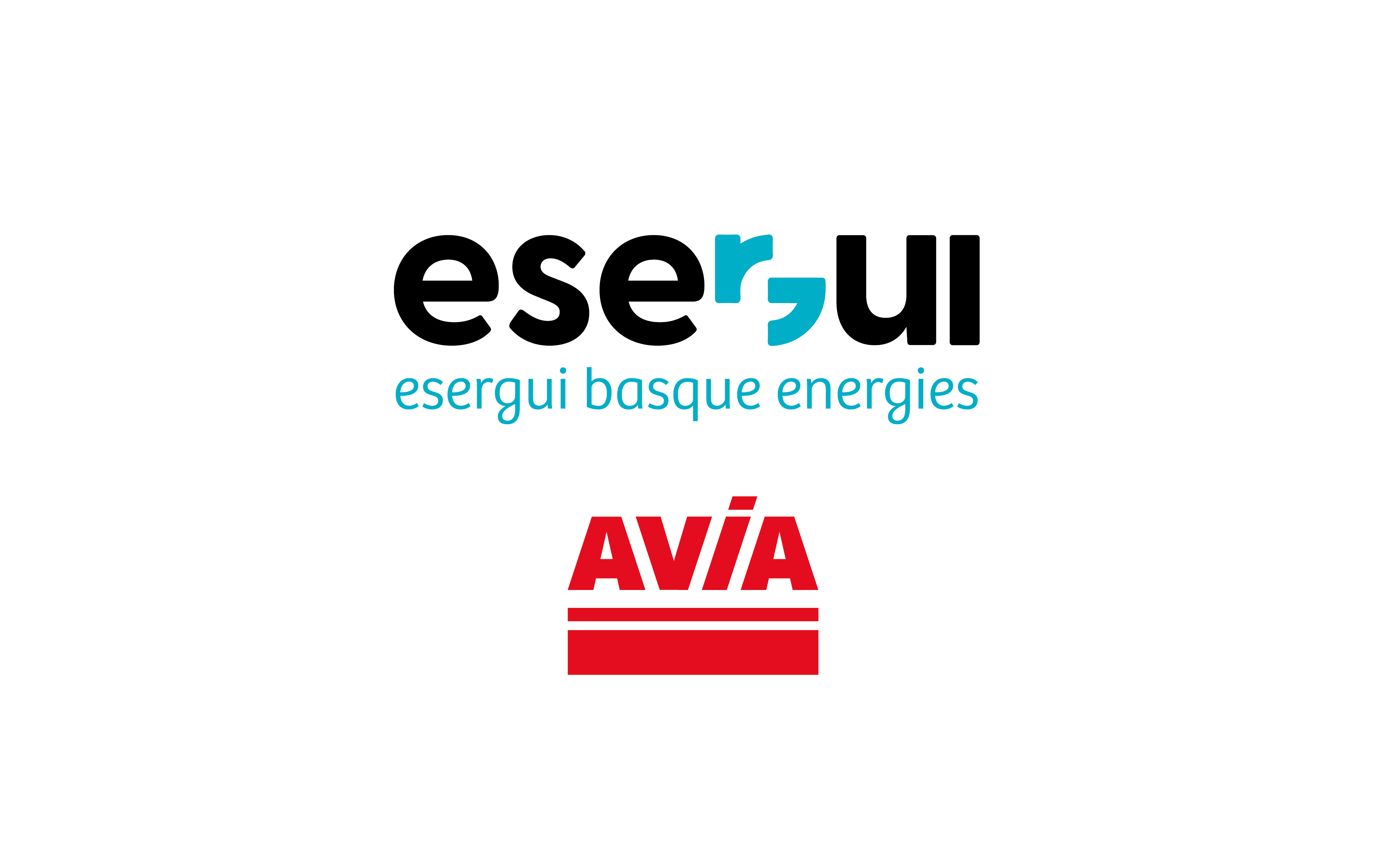 Esergui-Avia Hernani Eskubaloi Taldearen babesle berria
